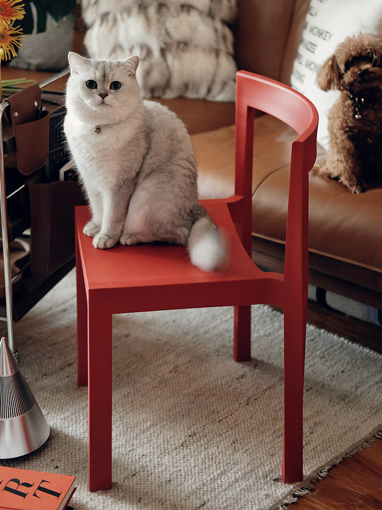 Islington Dining Chair