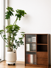 Kensington Storage Shelf